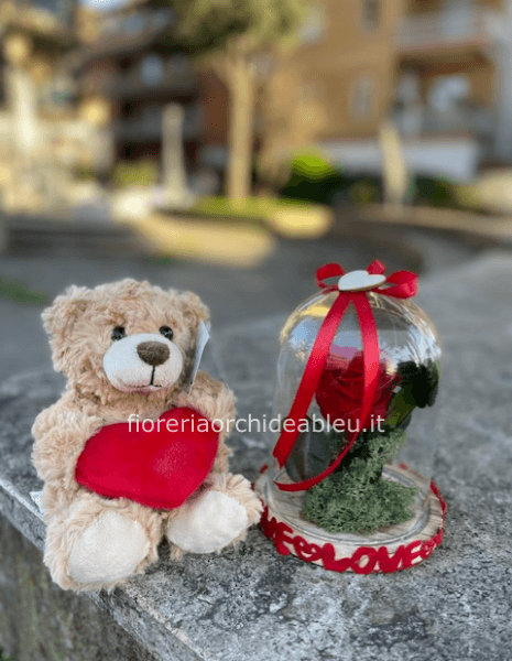 peluche con rosa stabilizzata in teca