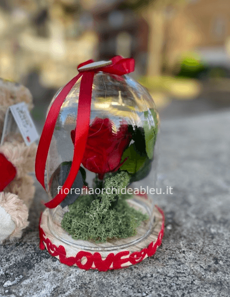 rosa stabilizzata in teca